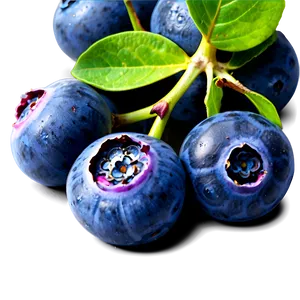 Blueberry Cluster PNG 05242024