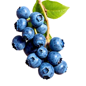 Blueberry Cluster PNG 05242024