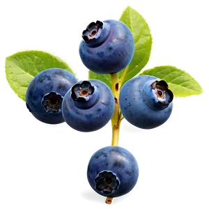 Blueberry Cluster Png Deg23 PNG image