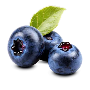 Blueberry Dessert Topping PNG Hji PNG