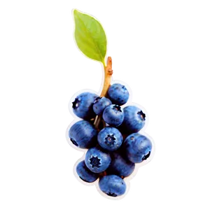 Blueberry Drop PNG 76