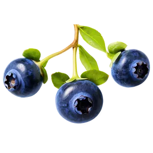 Blueberry Drop PNG Lwq96
