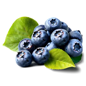 Blueberry Field Png 05242024 PNG image