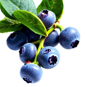 Blueberry Field Png Iat PNG image