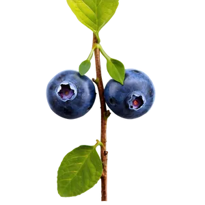 Blueberry Fruit Png 05062024 PNG image