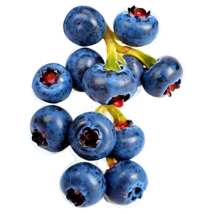 Blueberry Harvest Png 05242024 PNG image