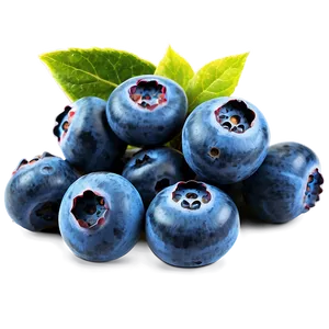 Blueberry Harvest Png 96 PNG image