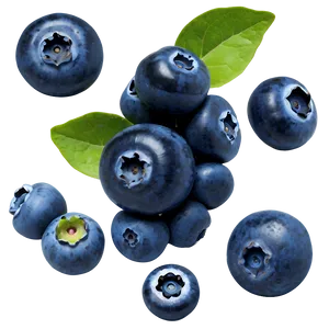 Blueberry Isolated Png 2 PNG image