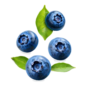 Blueberry Isolated Png Iey PNG image