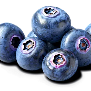 Blueberry Isolated Png Qsg2 PNG image