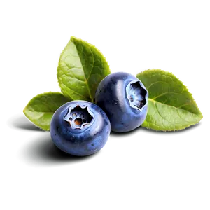 Blueberry Macro PNG 05242024