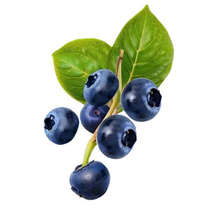 Blueberry Mix PNG 05242024 PNG