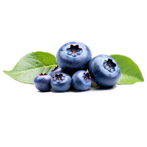 Blueberry Mix PNG 23 PNG