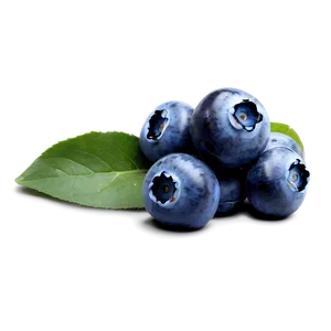 Blueberry Photography PNG Ndp10 PNG