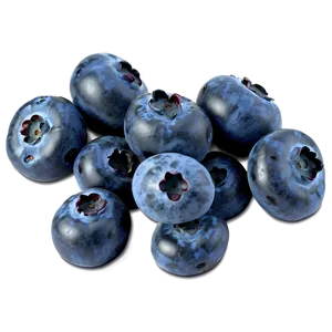 Blueberry Photography PNG Tev17 PNG