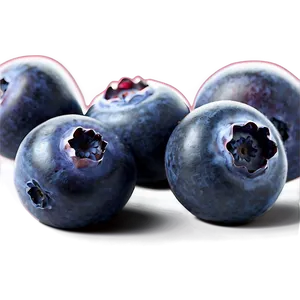 Blueberry Pile Png Eha56 PNG image