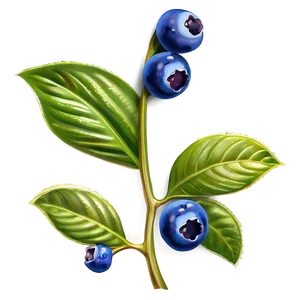 Blueberry Sprig PNG 1 PNG
