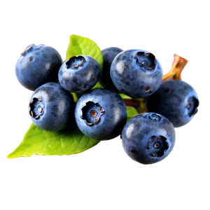 Blueberry Sprig PNG Rmn PNG