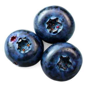 Blueberry Texture PNG Jfp PNG