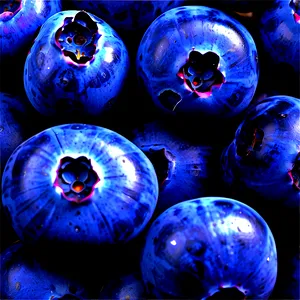 Blueberry Texture PNG Tde57 PNG