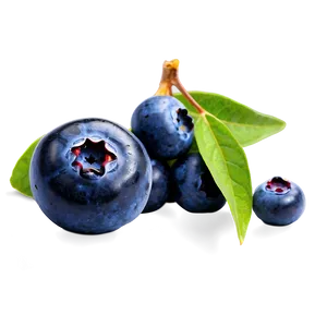 Blueberry Top View Png 05242024 PNG image