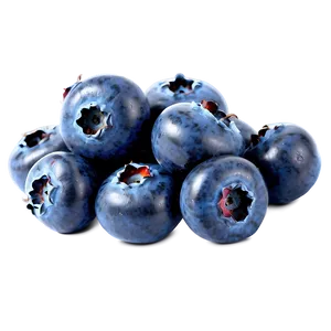 Blueberry Top View Png Rdc84 PNG image