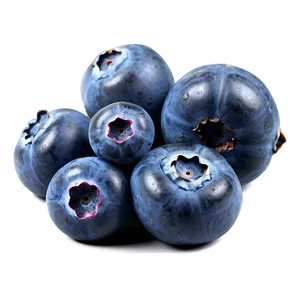 Blueberry Top View Png Tvl20 PNG image