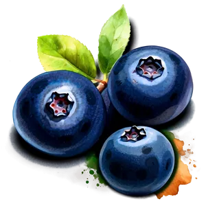 Blueberry Watercolor PNG Drx