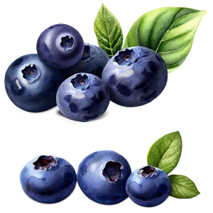 Blueberry Watercolor PNG Ofk86