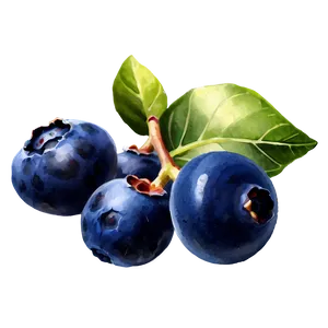 Blueberry Watercolor PNG Srb30