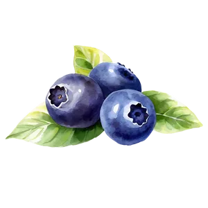 Blueberry Watercolor PNG Xst