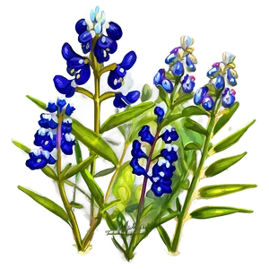 Bluebonnet Country Road Png 06272024 PNG image