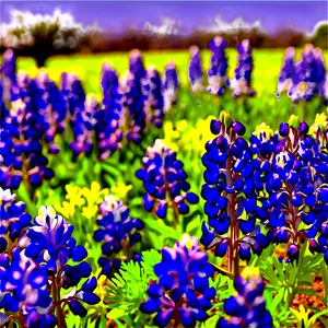 Bluebonnet Festival PNG 25