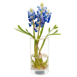 Bluebonnet In A Vase Png 06272024 PNG image