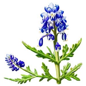 Bluebonnet In Soft Light PNG Jpn73