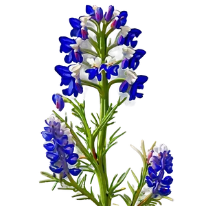 Bluebonnet Sunrise View PNG Mbd23
