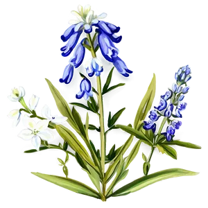 Bluebonnet Vintage Print PNG 13