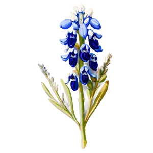 Bluebonnet Vintage Print PNG 47