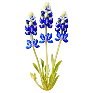 Bluebonnet Vintage Print PNG Fex88 PNG