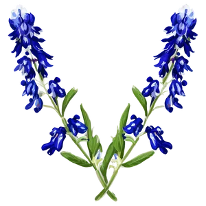 Bluebonnet Vintage Print PNG Sge PNG