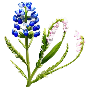 Bluebonnet With Blue Sky PNG Uxu