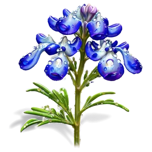 Bluebonnet With Dew Drops Png 20 PNG image