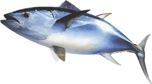 Bluefin Tuna Illustration.png
