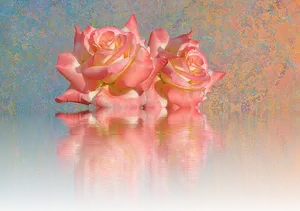 Blushing_ Roses_ Reflection_ Artwork PNG image