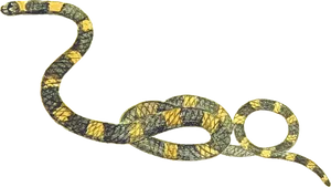 Boa Constrictor Transparent Background