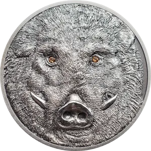 Boar Engraved Coin2018 PNG image