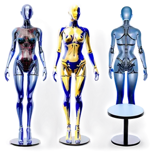 Body Form Mannequin Png 05242024 PNG image