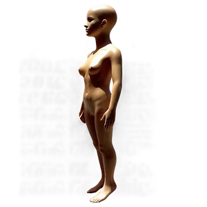 Body Form Mannequin PNG Bsj20 PNG