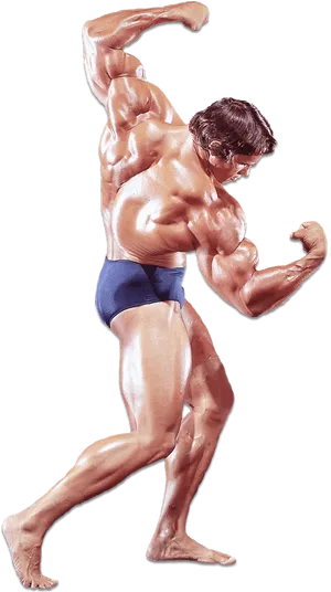 Bodybuilder Classic Pose.png PNG image