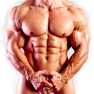 Bodybuilder Torso Muscles PNG Atr
